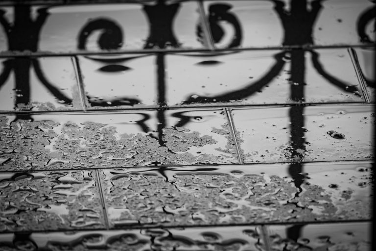 Pavers wet from the rain