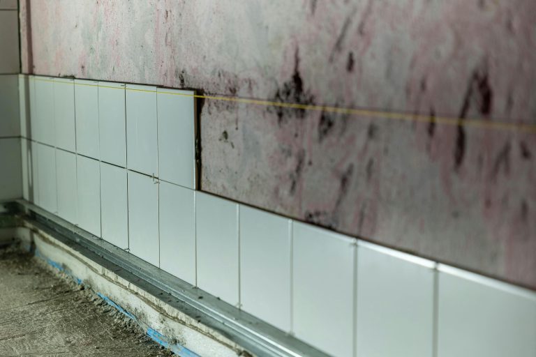 Mold on a wall