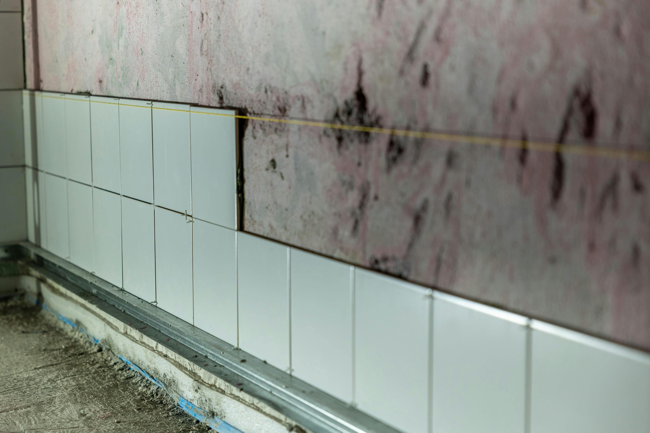 Mold on a wall