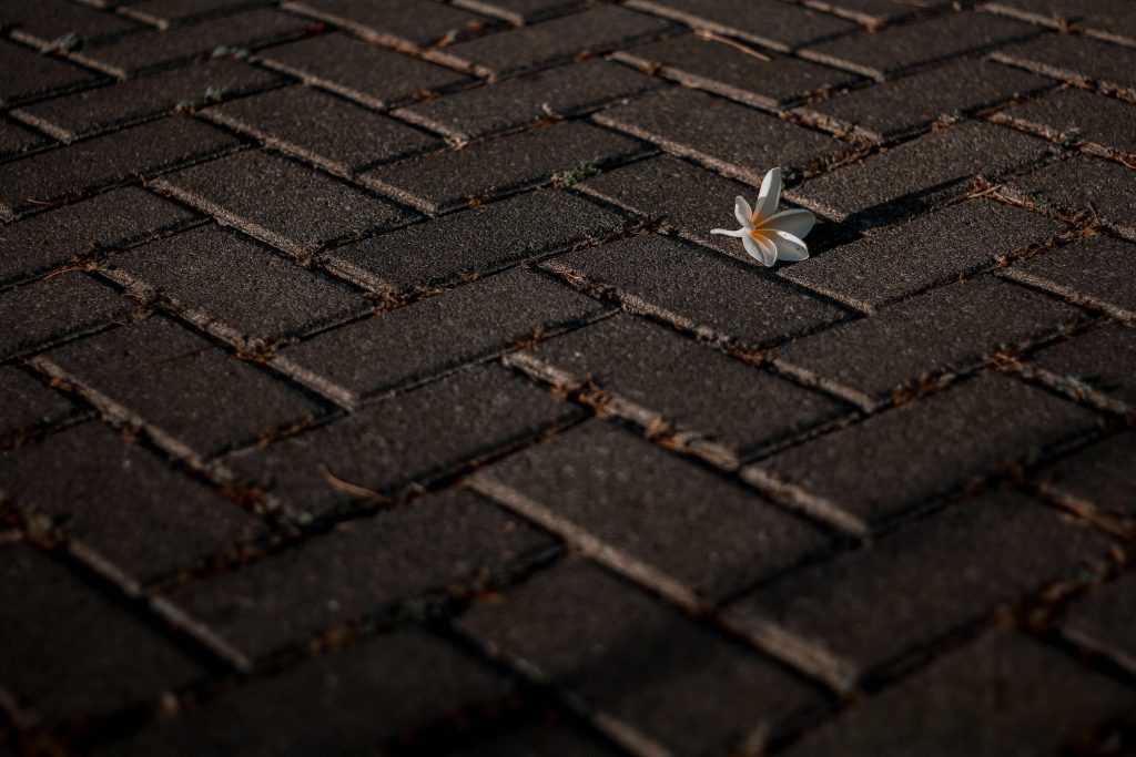 Close up of patio pavers with a flower